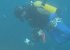 Color curves tool in photoshop