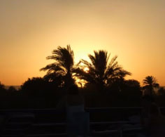 Clone Stamp Detailed Tutorial