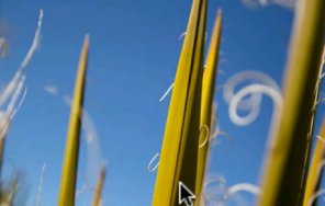 Vintage Photo Effect in  GIMP (Video Tutorial)