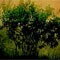 Material Image