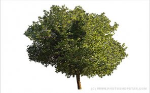 Saperate Complex Objects from an Image