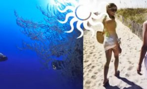 Animation Inside Another Animation (Video Tutorial)