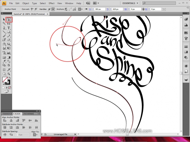 Calligraphy with Photoshop and Illustrator 4