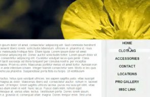 CSS Vertical Navigation Bar Using