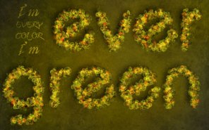 Fantasy Spring Text Effect