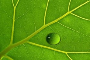 Realistic Water Drop in Photoshop