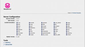 How to Install WAMP Server