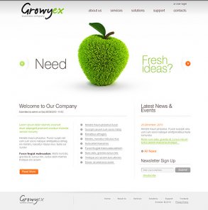 20 Fresh and Awesome Premium Drupal Templates
