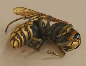 Digital Painting Steps - Adobe Photoshop Tutorial