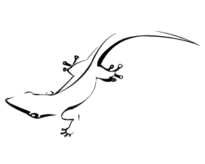 logo design tutorial - using adobe illustrator