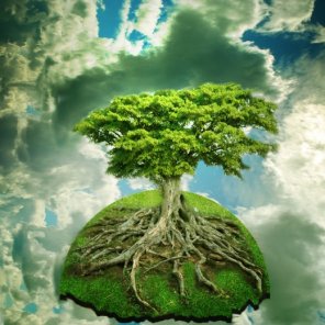 How to Create a Floating Over Grown Tree in Photoshop