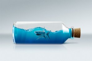 Shark in a Bottle
