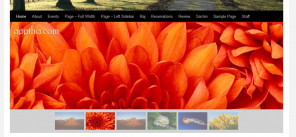 How To Add An Instant Banner To Brand Your WordPress Site Quickly