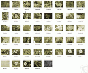 Creating Actions for Batch Processing