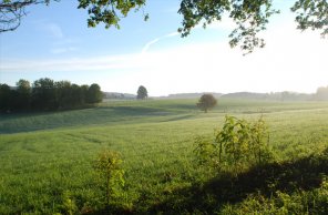 Photoshop Basics: Blending Modes