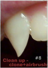 The Fangtastic Tutorial