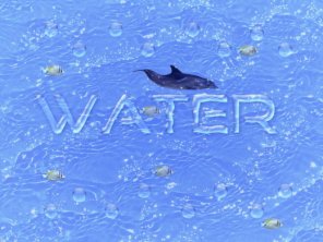 Create a Splendid Water Text Effect Using Photoshop