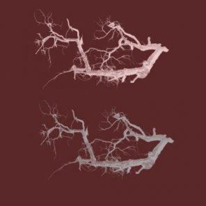 Learn How to Create Your Own Brush in Photoshop