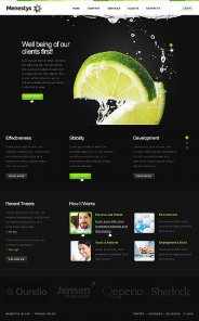 New Collection of Wordpress Templates