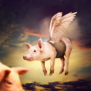 Photo Manipulate a Cute Flying Pig Scene