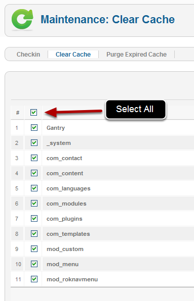 How to Clear the Cache in Joomla 2