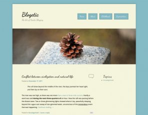 Creating Your First WordPress Child Theme