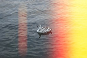 Creating Digital Light Leaks