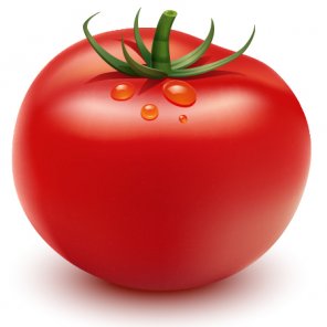 How to Illustrate a Tomato Using Adobe Illustrator