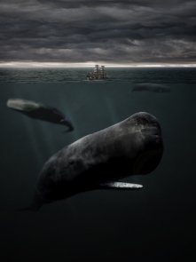 How to Create Water Photo Manipulation