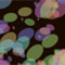 Material Image