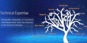 Do You Have the Right Attitude to Design High End Web Design Expertise?