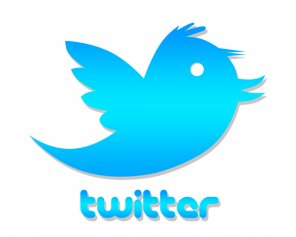 Learn To Make Twitter Bird Vector in Photoshop
