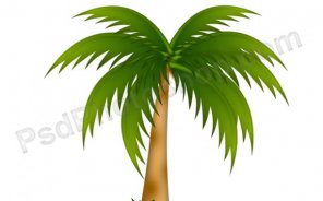 How to Create Palm Tree Vector in Photoshop