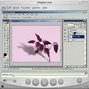 Shadow (video tutorial)