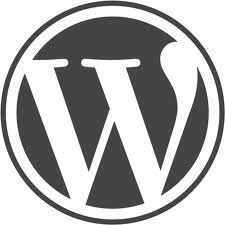 Custom Functionality Plugin for WordPress - Pros and Cons