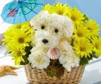 Independence Day Inspiration