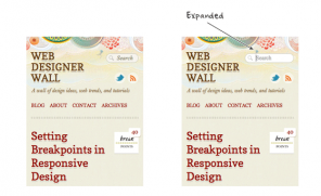 Expandable Mobile Search Form