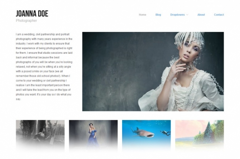15 Free Responsive WordPress Themes You can't Afford to Miss 12