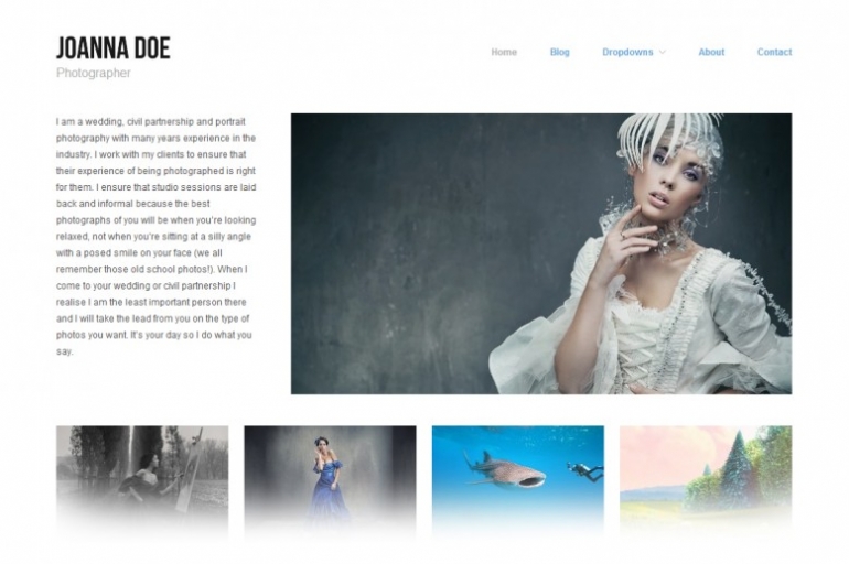 15 Free Responsive WordPress Themes You can't Afford to Miss 11