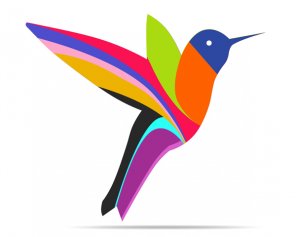 Make Colorful Humming Bird Vector in Photoshop