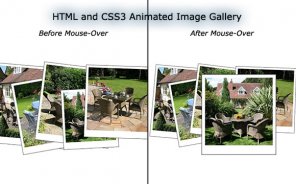How to Create an Animated Image Gallery Using HTML and CSS3