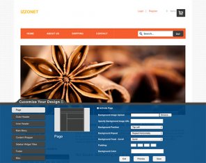 Review: Izzonet, a feature-rich e-commerce platform