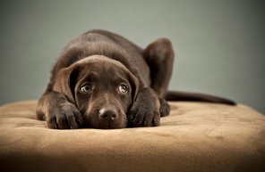 Find the Rright Words for Your Mobile... first