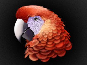 Interview with a Graphic Designer Ann Kondratieva aka Shama