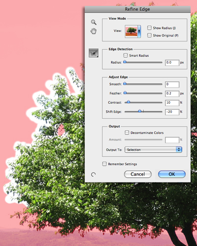 5 Quick Selection Tools in Photoshop 12