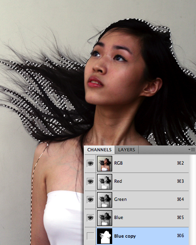 5 Quick Selection Tools in Photoshop 19