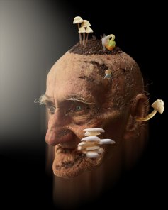 Turn A Face Into Dirt Complete With Growing Plants (Exclusive tutorial)