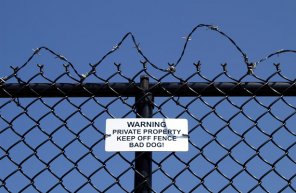 Google Allow You to Plead Ignorance