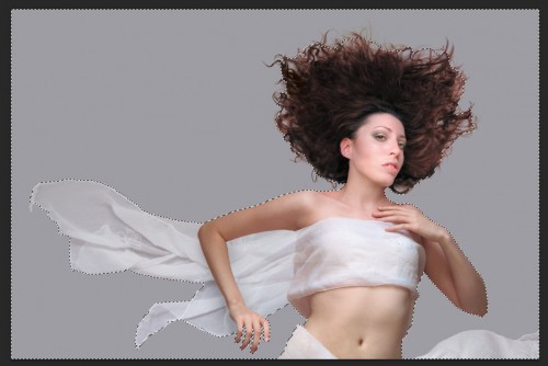1 sele 500x334 Quick and Effective Hair Extraction Techinque via Refine Mask in Photoshop (CS5+)