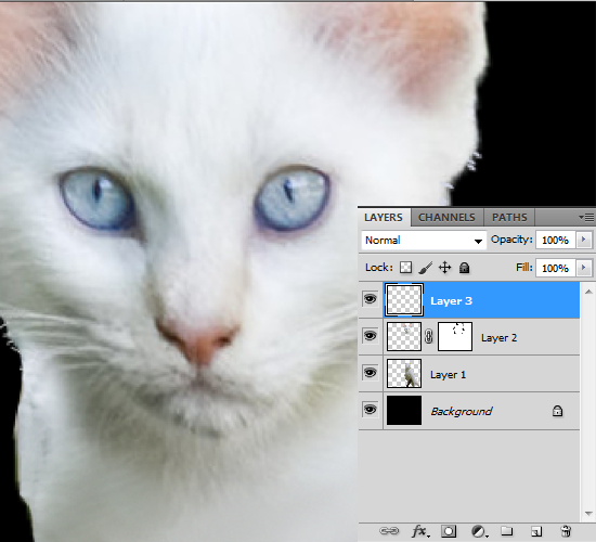 How to Merge Photos in Photoshop 8